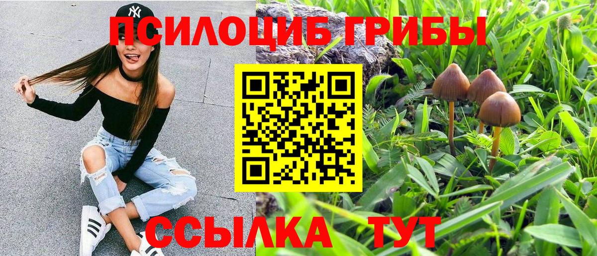Старая Купавна  Галлюциногенные грибы Psilocybine cubensis  Вход с VPN 